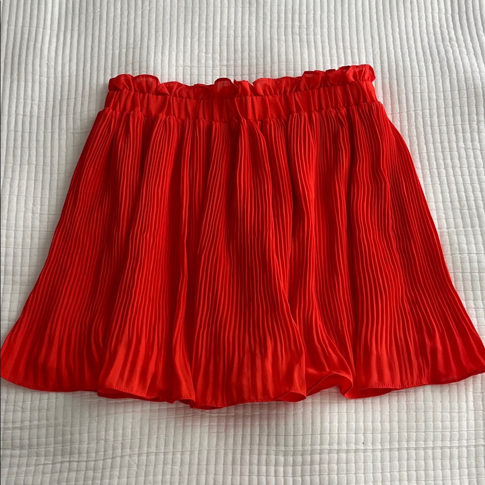 Boutique Pleated Skirt
